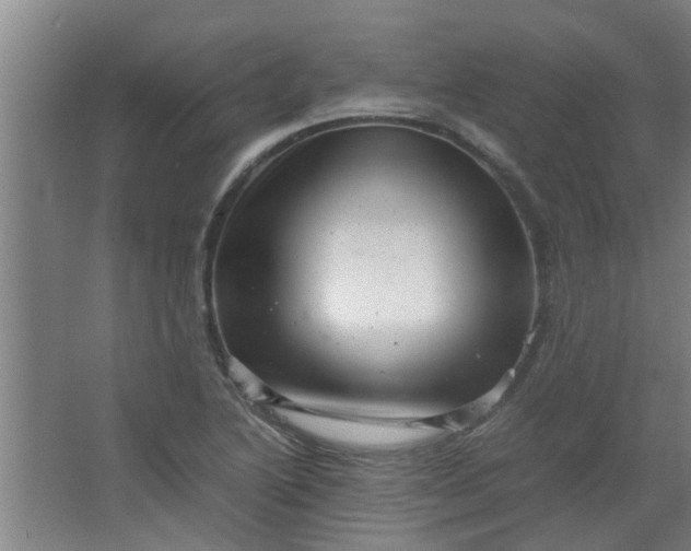 X0000066101222200603241509