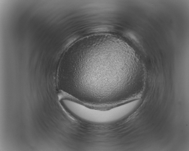 X0000066101225200603241509