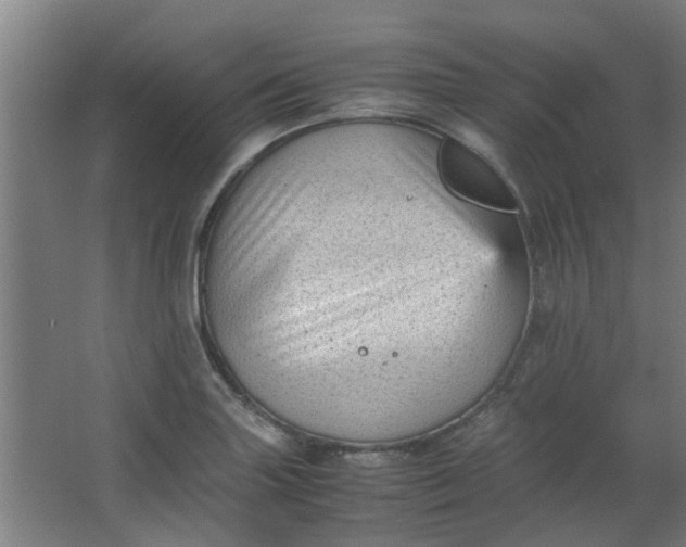 X0000066101227200603241509