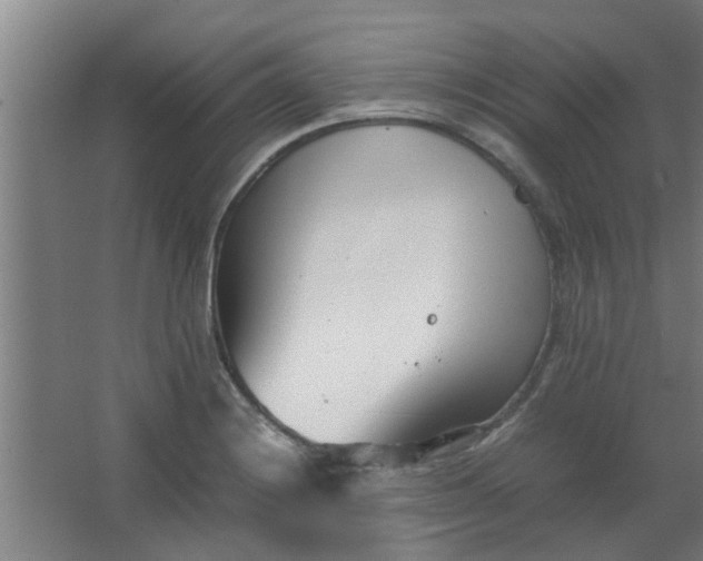 X0000066101228200603241509