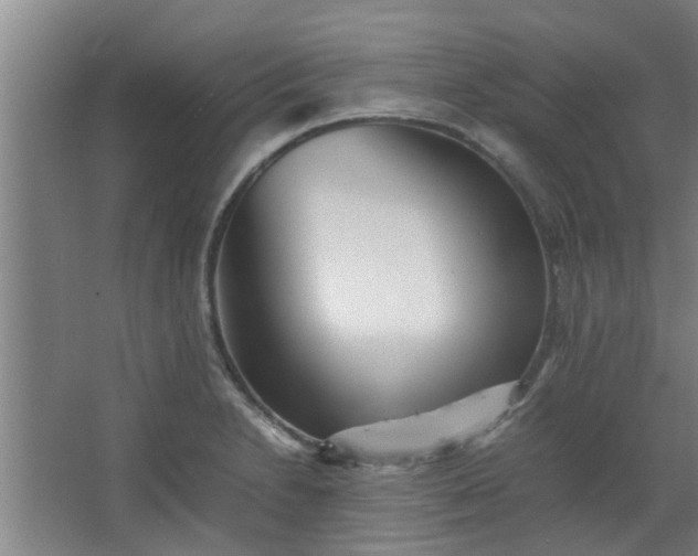 X0000066101230200603241510