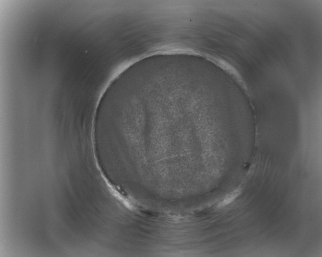 X0000066101231200603241510