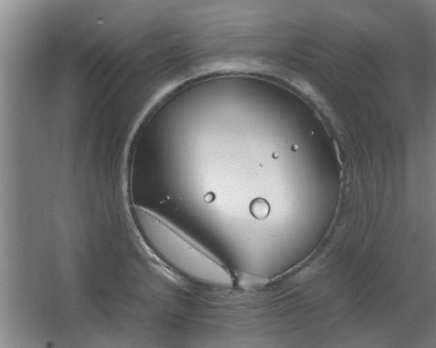 X0000066101232200603241510