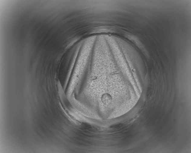 X0000066101233200603241510