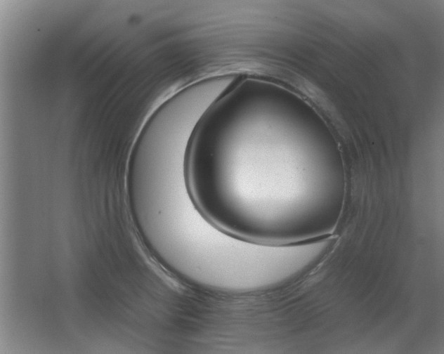 X0000066101234200603241510