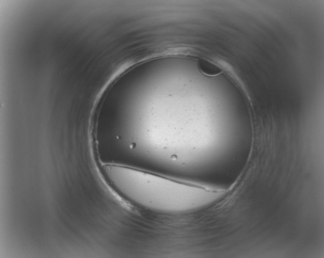 X0000066101235200603241510