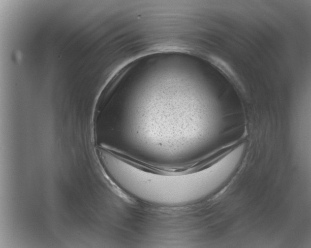 X0000066101236200603241510