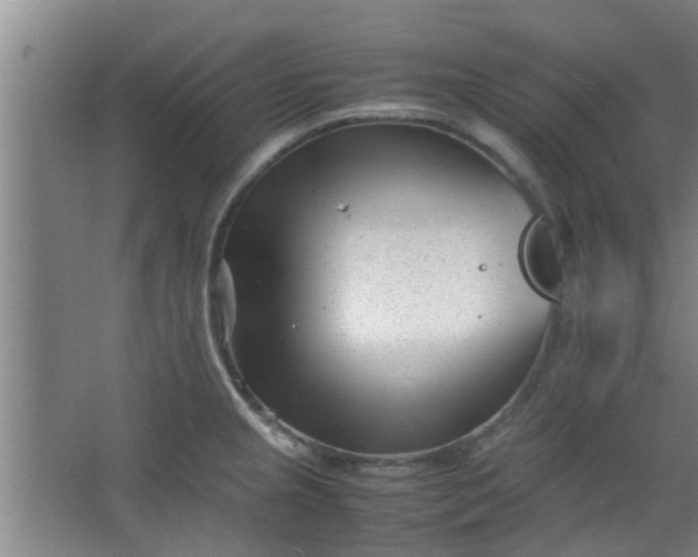 X0000066101237200603241510