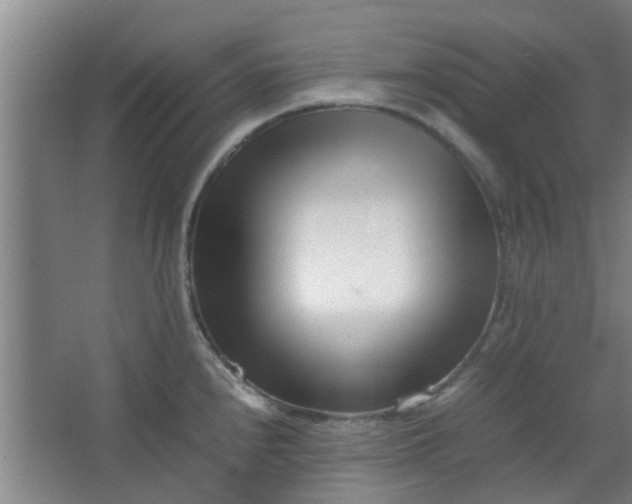 X0000066101240200603241510