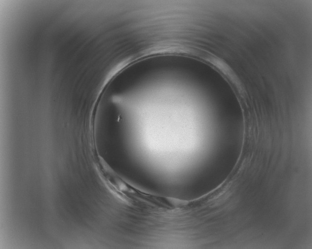 X0000066101242200603241510