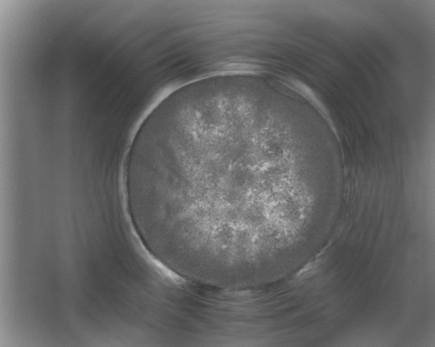 X0000066101243200603241510