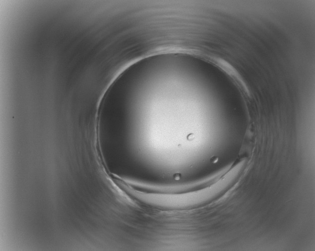 X0000066101244200603241510