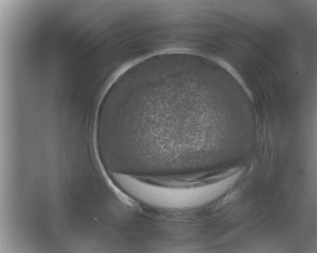 X0000066101245200603241510