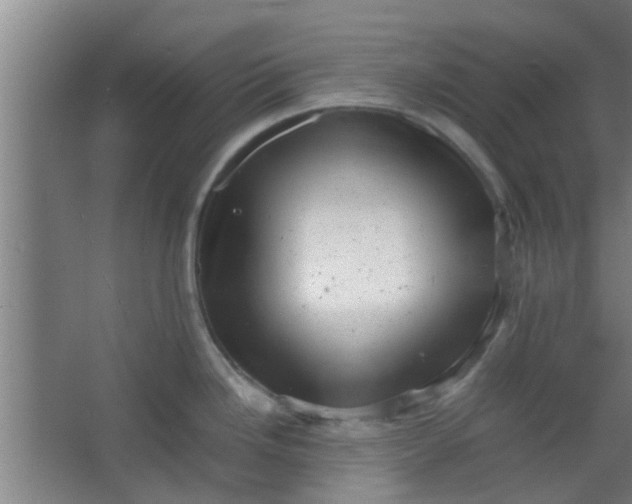 X0000066101246200603241510