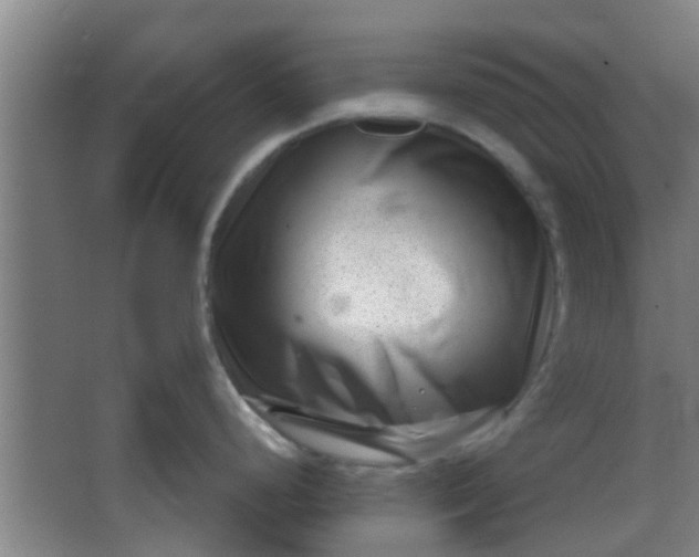 X0000066101248200603241510