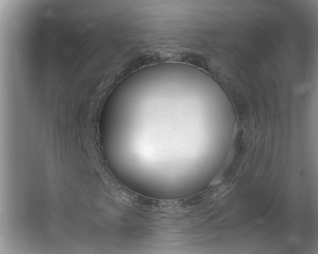 X0000066101249200603241509