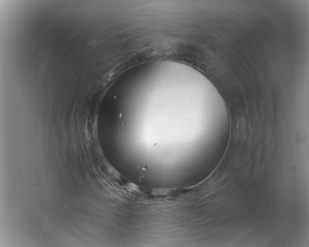 X0000066101250200603241509