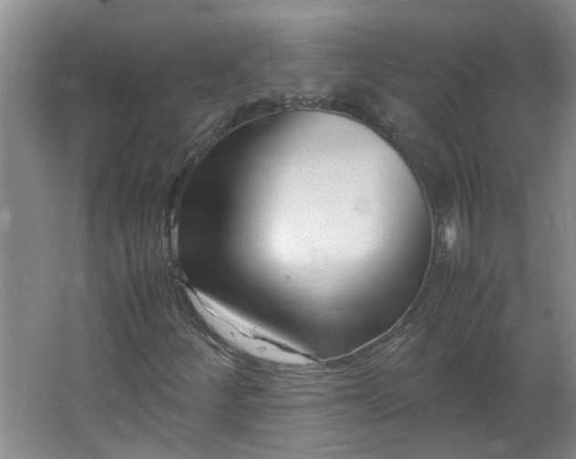 X0000066101252200603241509