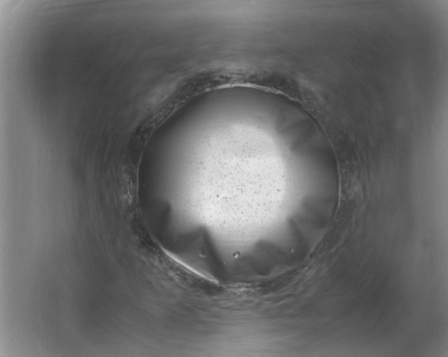 X0000066101253200603241509