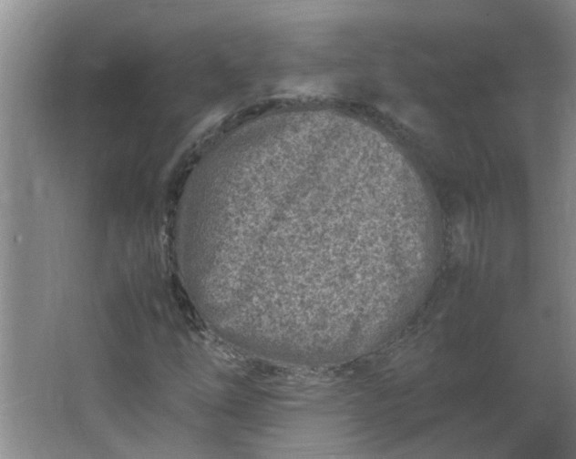 X0000066101254200603241509