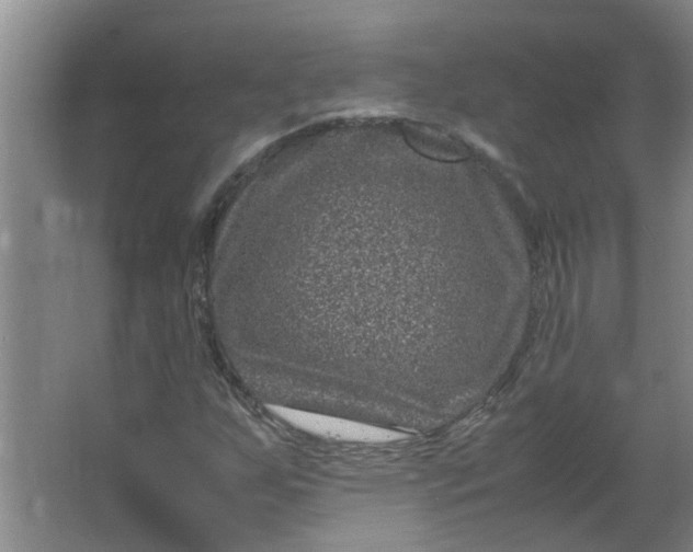 X0000066101255200603241509