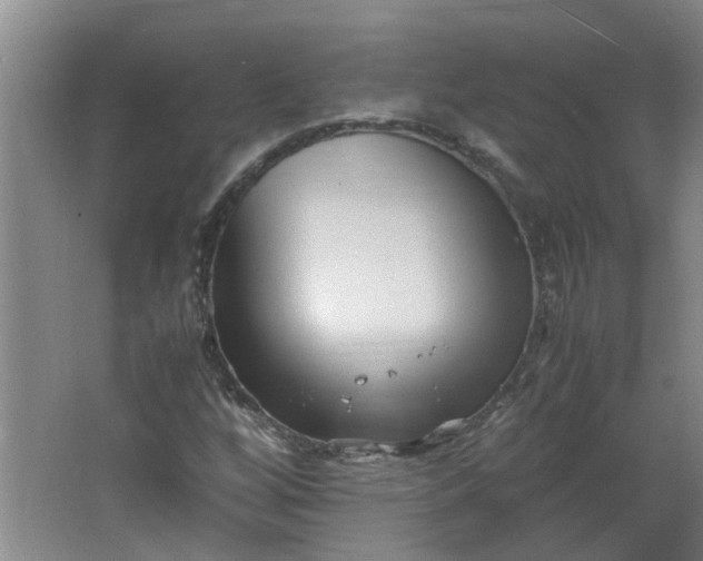 X0000066101256200603241509