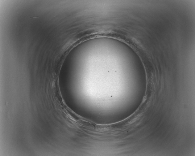 X0000066101257200603241509