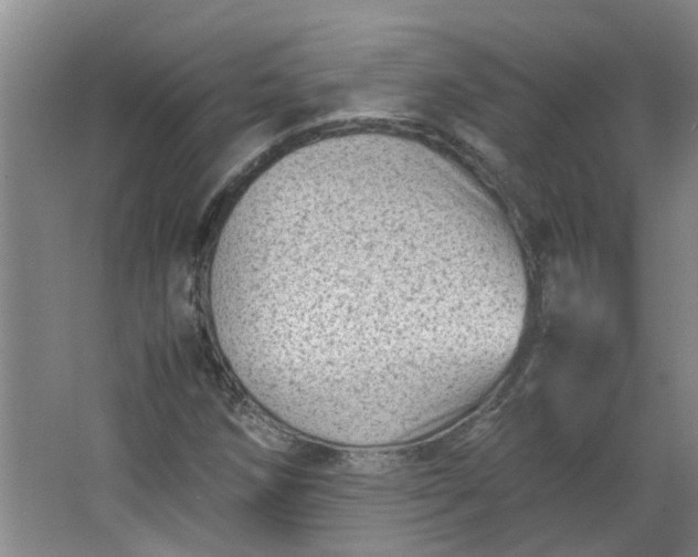 X0000066101258200603241509