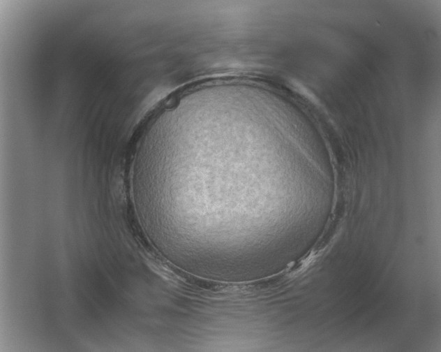 X0000066101259200603241509