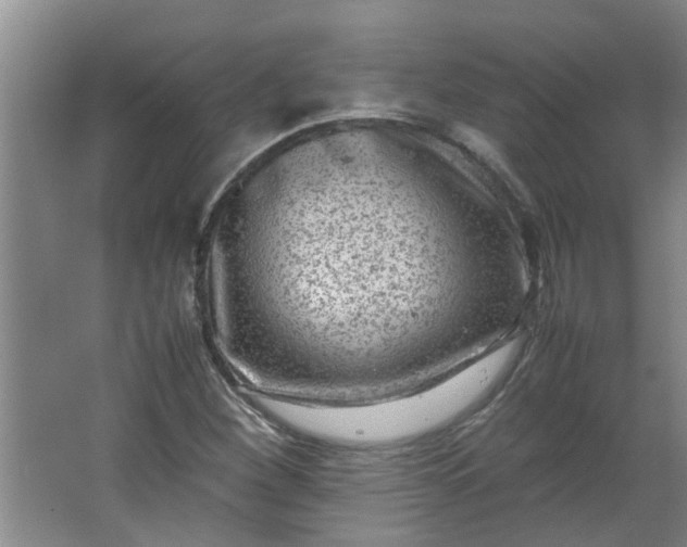 X0000066101260200603241509