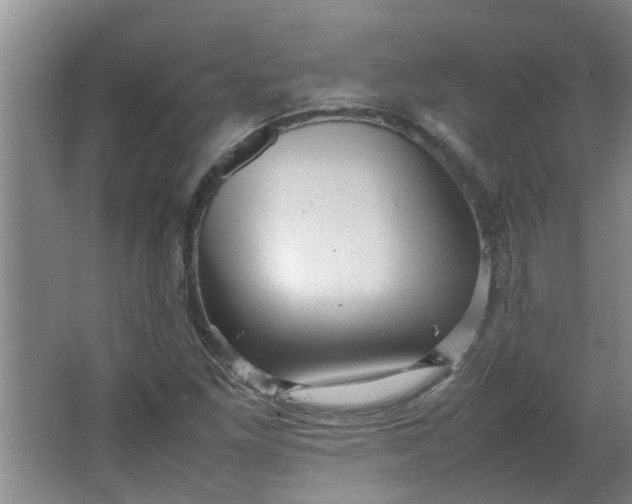 X0000066101261200603241509