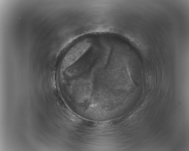 X0000066101262200603241509