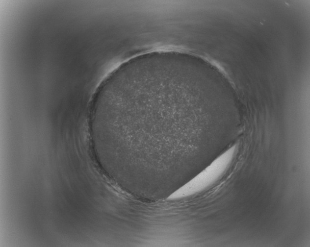 X0000066101263200603241509