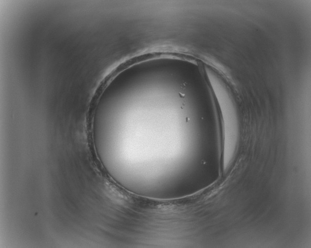 X0000066101264200603241509