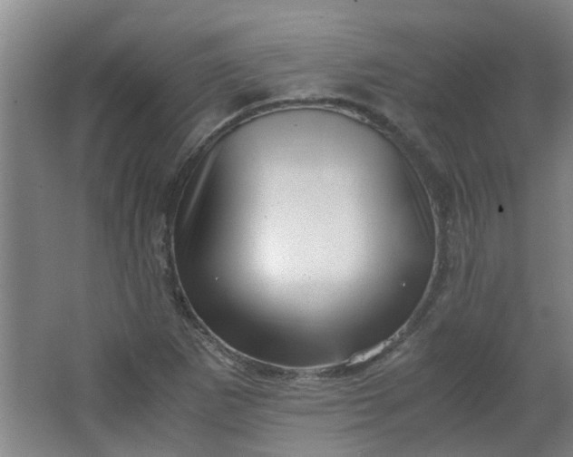 X0000066101265200603241509