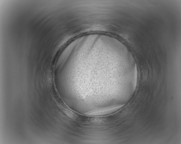 X0000066101266200603241509