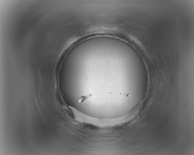 X0000066101267200603241509