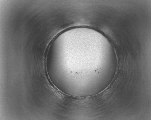 X0000066101268200603241509