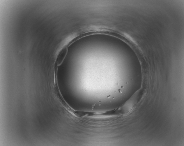 X0000066101269200603241509