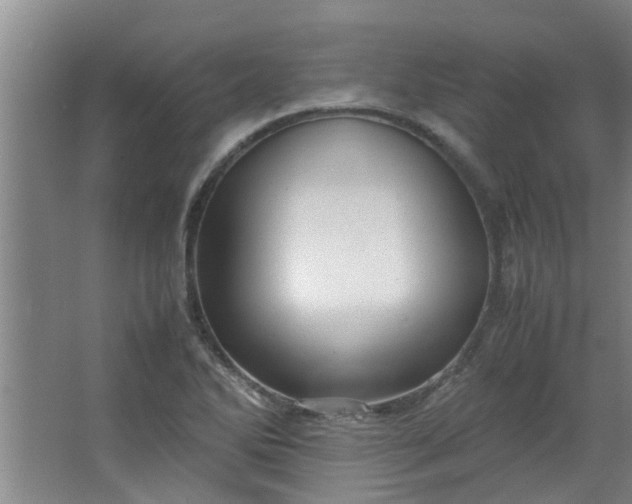 X0000066101270200603241509