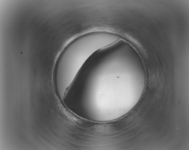 X0000066101272200603241509