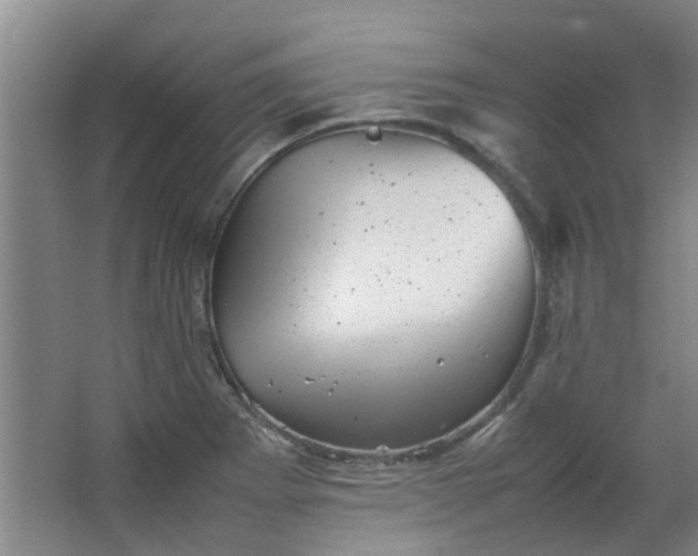 X0000066101273200603241509