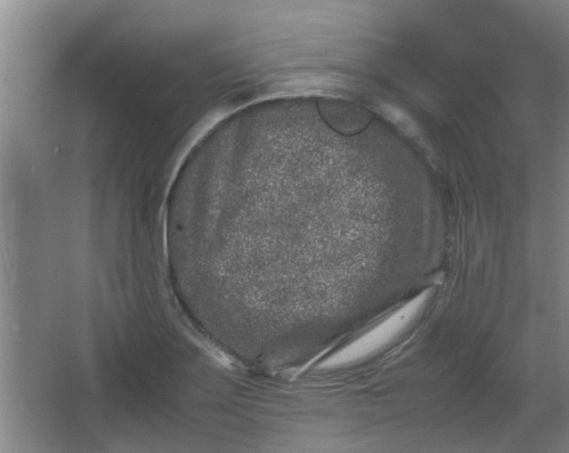 X0000066101275200603241509