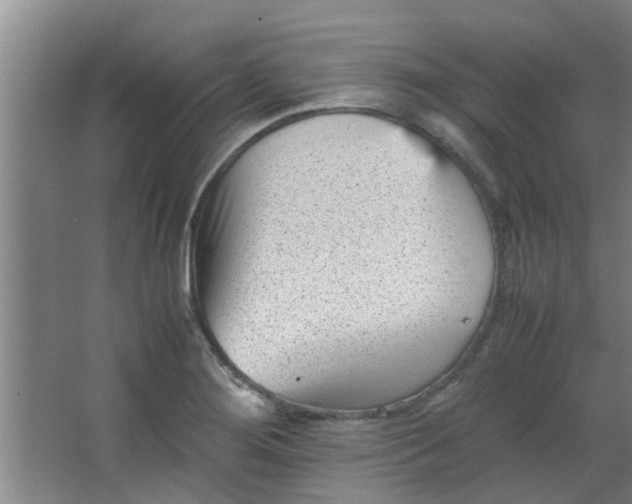 X0000066101276200603241509