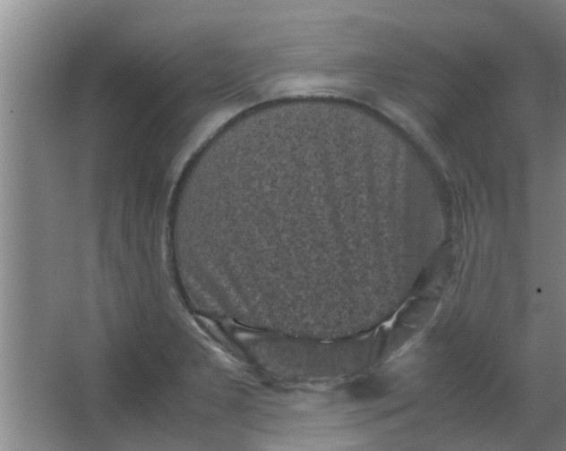 X0000066101277200603241509