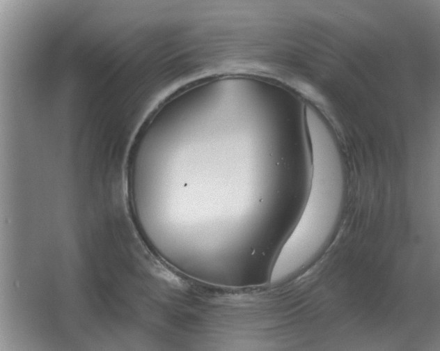 X0000066101280200603241508