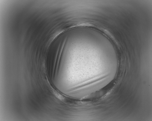 X0000066101281200603241508