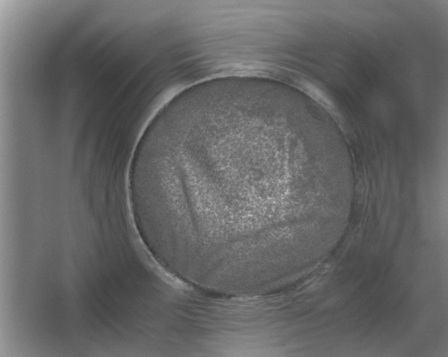 X0000066101283200603241508