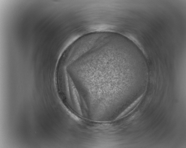 X0000066101285200603241508