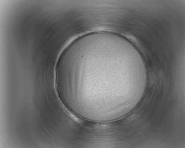 X0000066101286200603241508